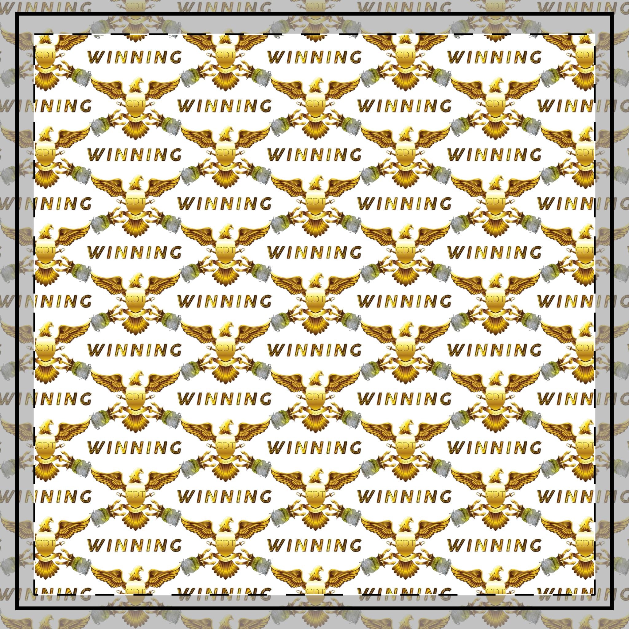 CDT Winning Throw Pillow, 26x26