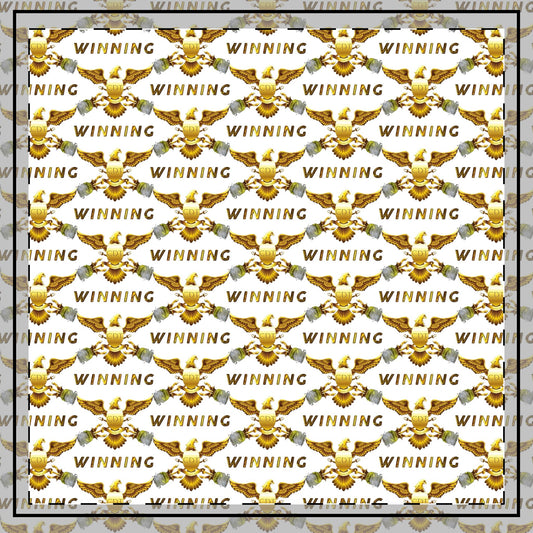 CDT Winning Throw Pillow, 26x26